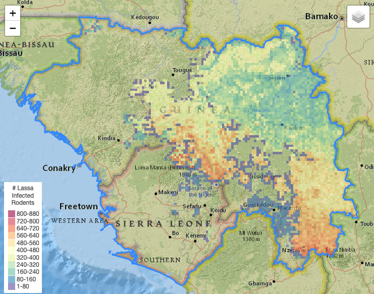 Map of rodent population in Sierra Leone and Guinea